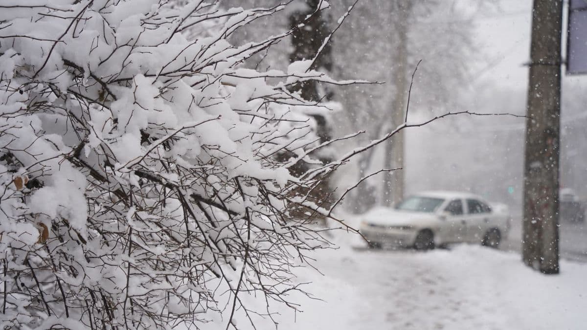 Дала елінің көп өңірінде қатал ауа райы күтілуде