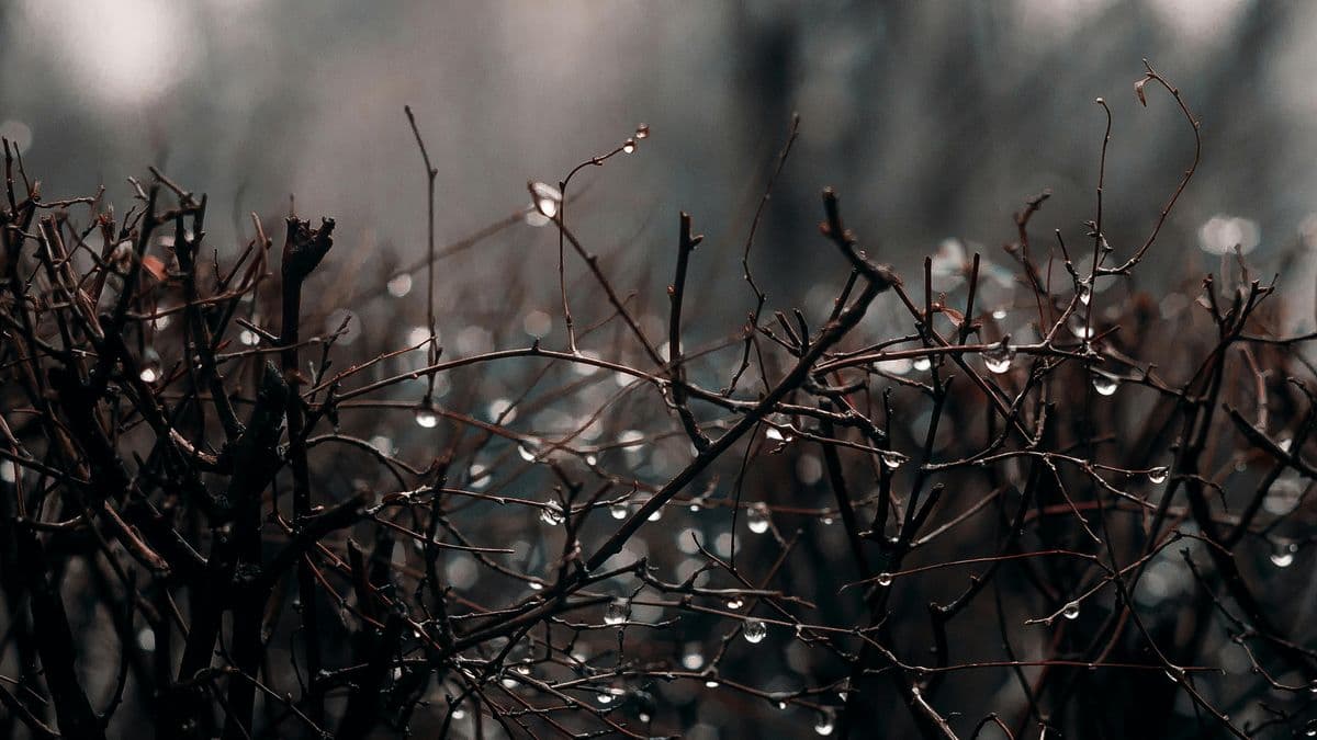 Дала елінің көп өңірінде табиғат күштері қаһарлы күн сыйлайды