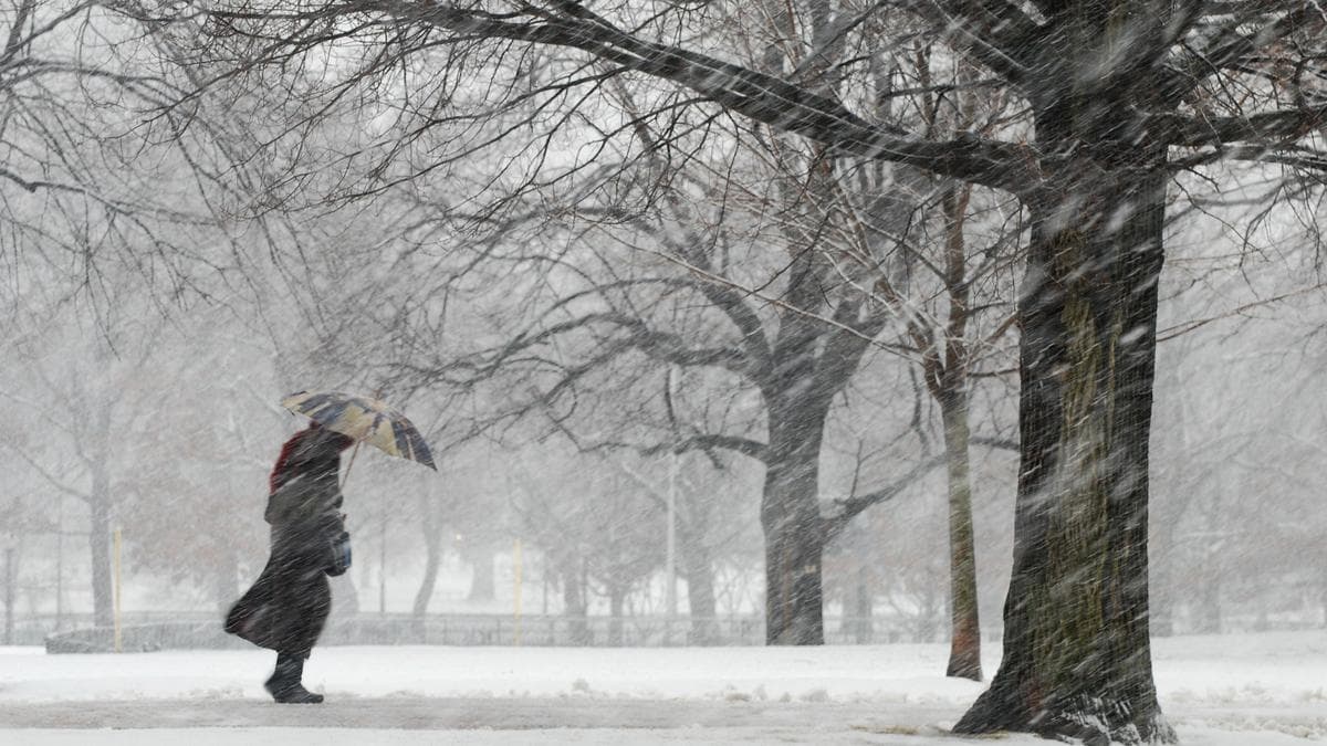 Қасиетті дала қар көрпемен жабылады: табиғат күші